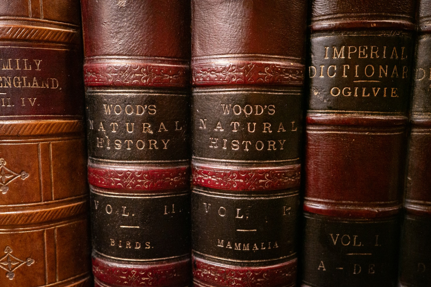 Pro Se Phenomenon: The Unintended Democracy of Legal Self-Defense